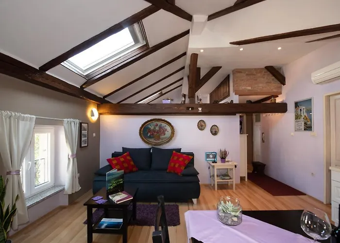 Vanja * 奥帕提亚